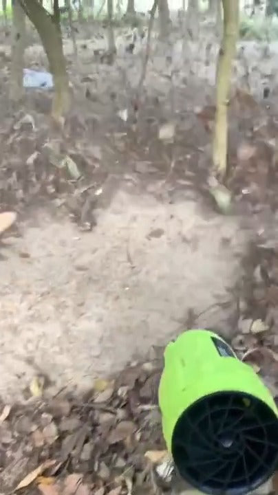 Blowing leaves in the yard